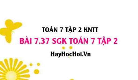 Bài 7.37 SGK Toán 7 tập 2 Kết nối tri thức